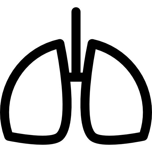 肺 PNG免抠(512x512)