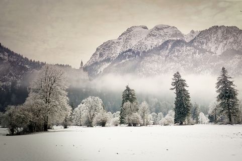 冬天白雪背景风景 冬天白雪背景风景