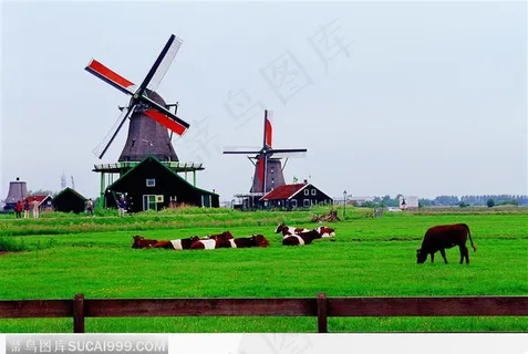 有风车的牧场