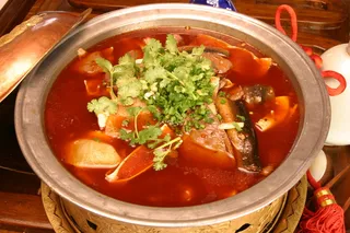 家常菜|美食|菜谱|菜单|0484毛血旺21