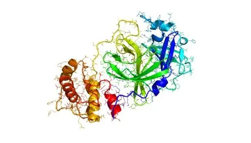 冠状病毒 PNG免抠(1200x683)