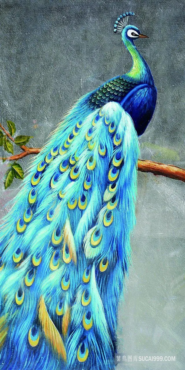 蓝色孔雀树枝插画