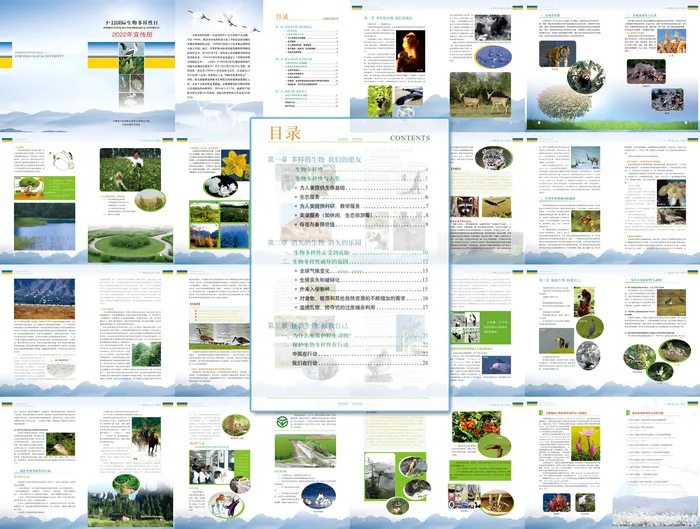 国际生物多样性日宣传册画册设计cdr矢量模版下载