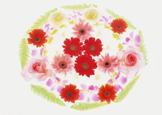 花团锦簇红粉黄