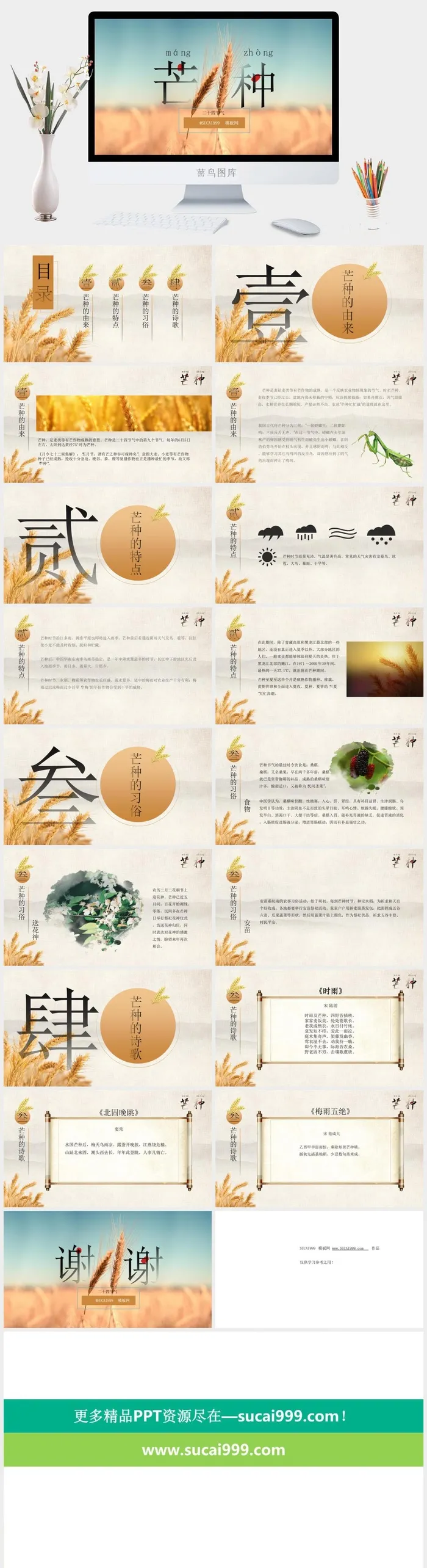 二十四节气之芒种ppt模板
