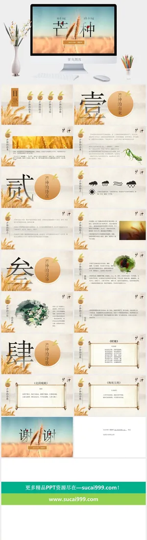 二十四节气之芒种ppt模板预览图