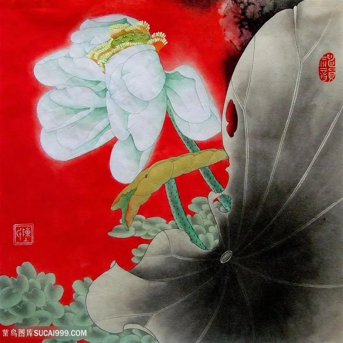 莲花中式时尚装饰画