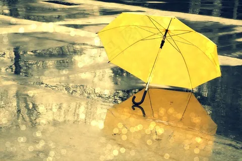 黄色雨伞图片下载 黄色雨伞图片下载