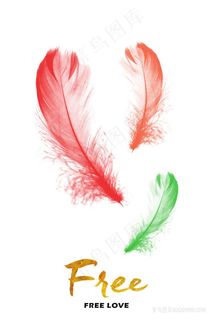 彩色羽毛时尚插画