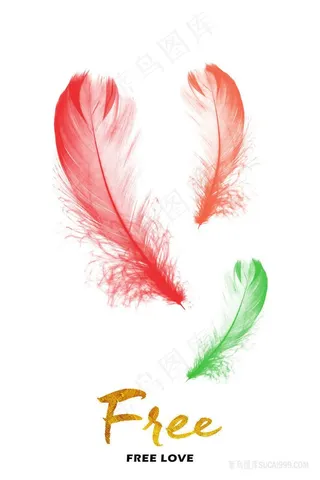 彩色羽毛时尚插画