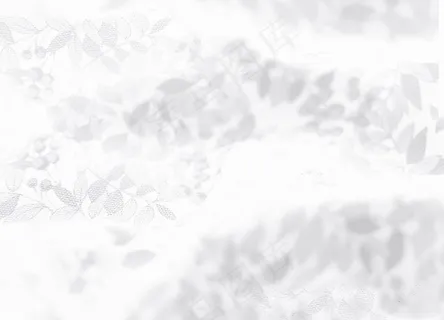 灰白树叶背景图片 灰白树叶背景图片
