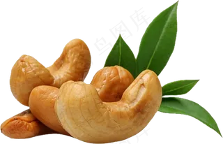 腰果免抠素材 (51)