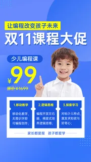 双十一IT互联网课程促销活动宣传海报