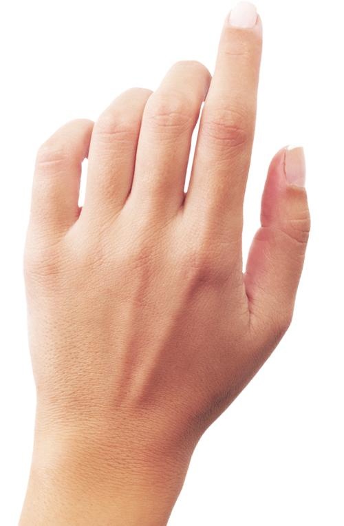手 PNG, 手图像免费免抠(500x764)