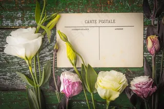 桌子上的白色玫瑰