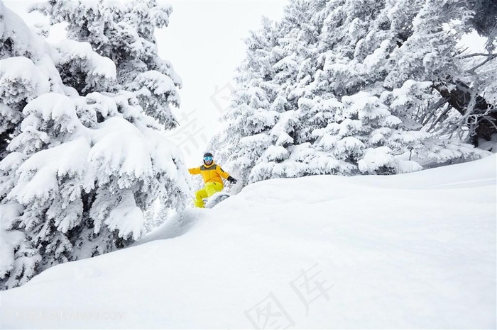 松树林里的滑雪人物高清图片