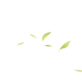 几片树叶飘在空中png免抠