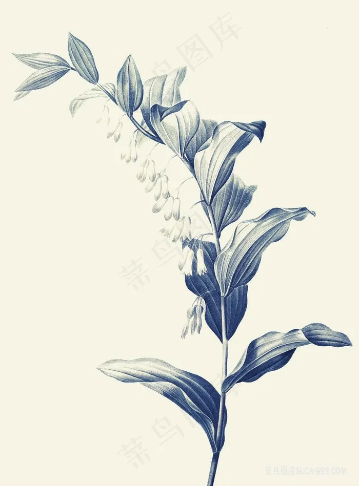 仟像版秋亦晚树枝高清图