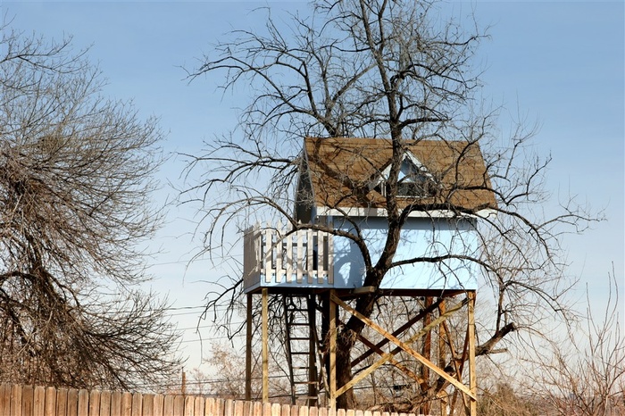 树上的树屋小房子