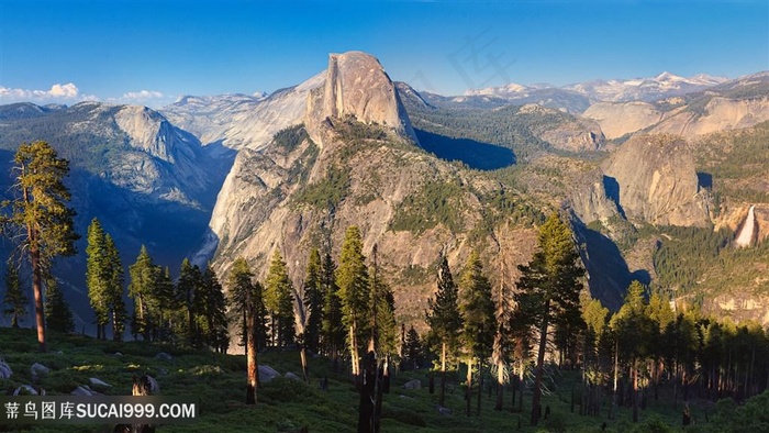 巍峨山脉大树风景画壁纸