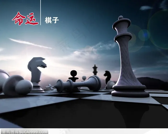 命运就是棋子——国际军棋特写