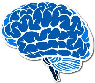大脑 PNG免抠