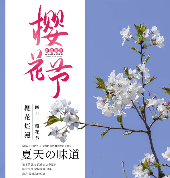 春季旅游清新创意樱花节海报psd模版下载