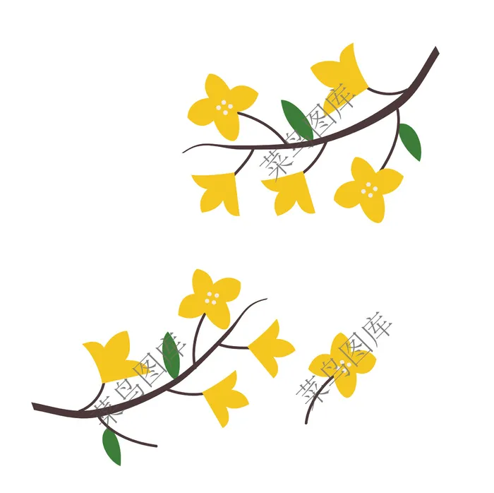黄花矢量图ai矢量模版下载
