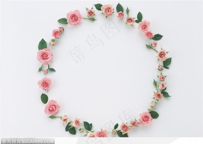 相框边框-蔷薇花组成的圆形相框