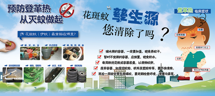 预防登革热从灭蚊做起宣传栏psd模版下载