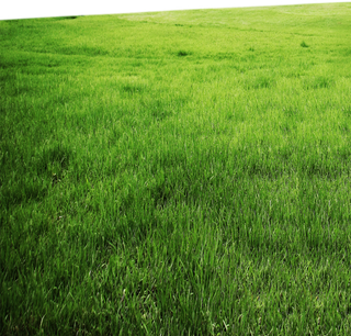 现代农业草地卡通