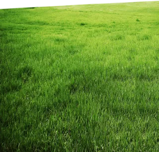 现代农业草地卡通