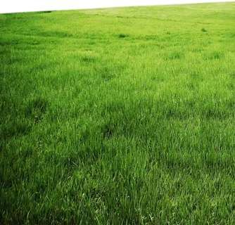 现代农业草地卡通 现代农业草地卡通