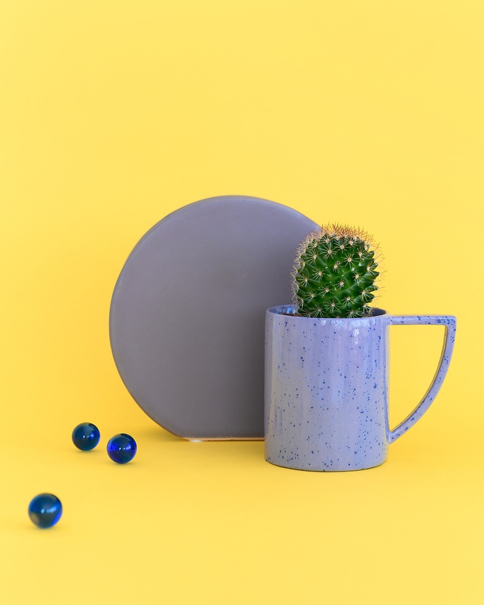 绿色仙人掌仙人球摄影素材