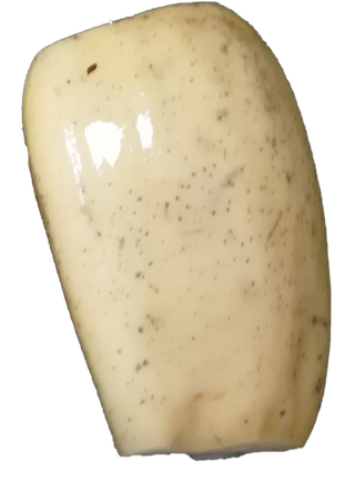 白花藕莲藕藕节藕段免抠摄影元素素材