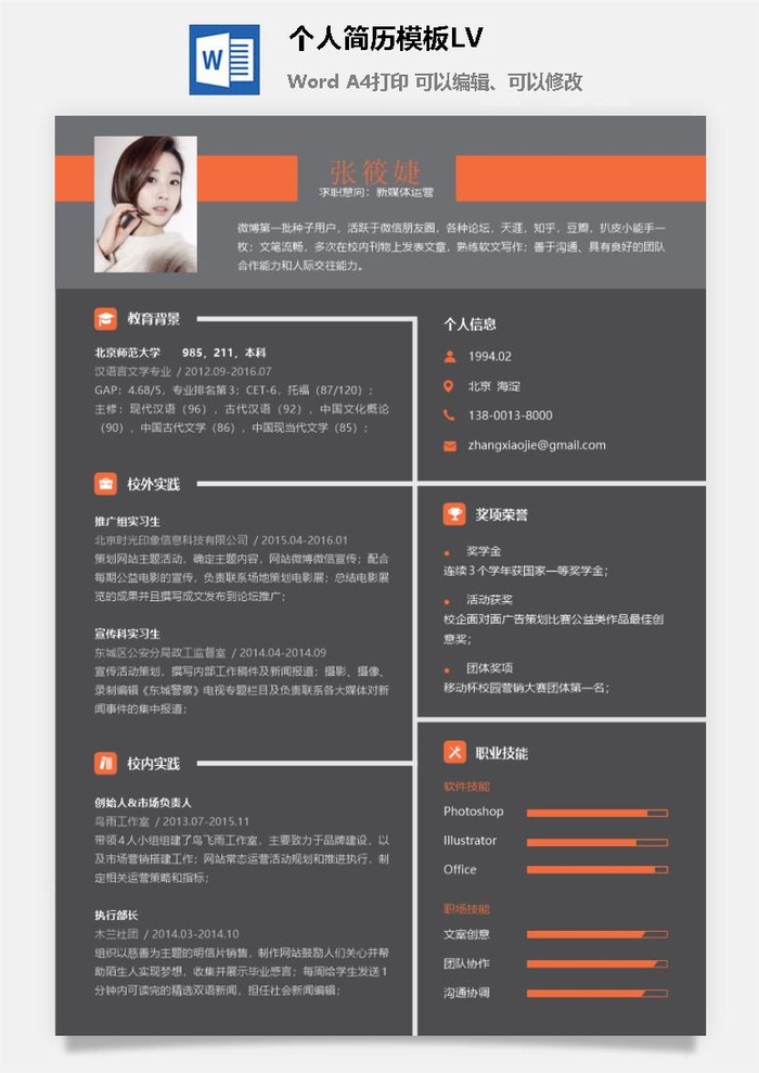 个人简历模板LV2