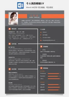 个人简历模板LV2