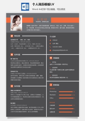 个人简历模板LV2预览图