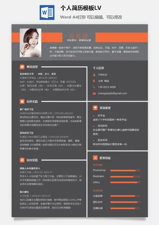 个人简历模板LV2