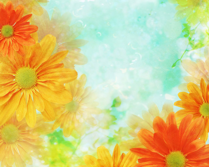 图片设计素材背景鸟语花香