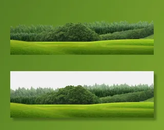 青草树林自然风景PNG免抠图片素材