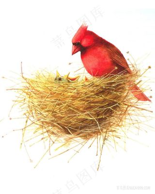 鸟窝高清油画