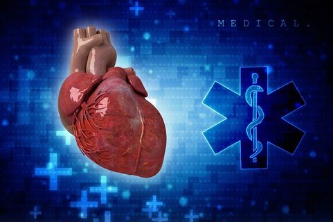 心脏和心电图背景心脏模型图片