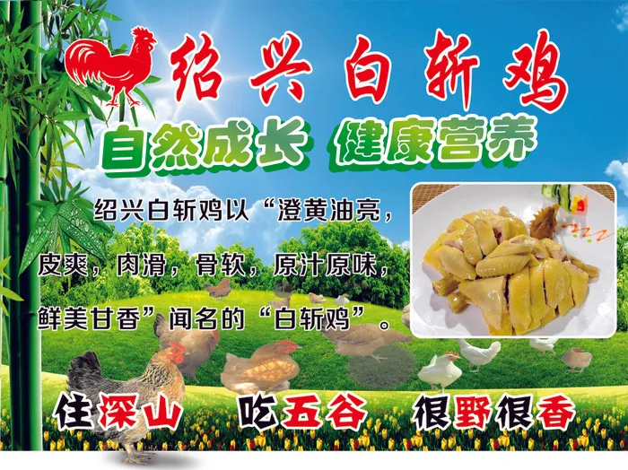白斩鸡说明放养鸡家园天蓝色海报展架cdr矢量模版下载