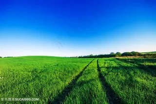 美丽的草原景色高清图片