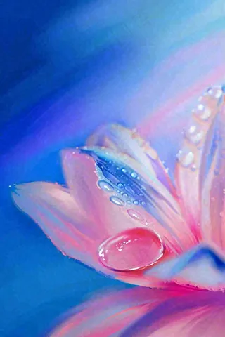 粉蓝渐变鲜花唯美水滴手绘插画