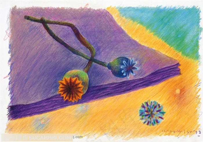 手绘插画-摆在本子上的罂粟果实