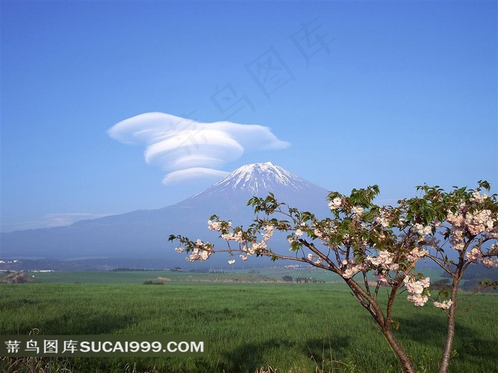 日本富士山优美风景