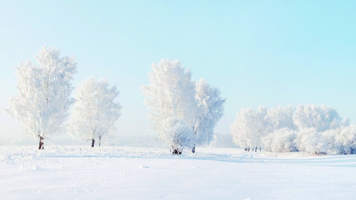 高清雪山雪景树木