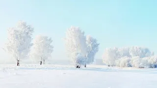 高清雪山雪景树木